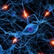 La fisica si fa in quattro